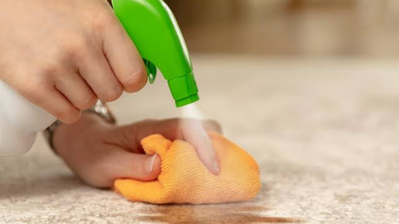 How to Clean Carpet Stains
